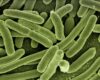 Bakterieninfektion: Zac Efron bei Dreharbeiten erkrankt