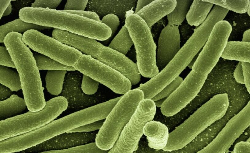 Bakterieninfektion: Zac Efron bei Dreharbeiten erkrankt